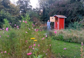 Dankzij composttoilet nooit meer de bosjes in