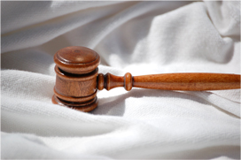 bestuur_picture.jpg bestuur_picture.jpg